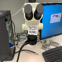 Leica Stereo Microscope Imaging System image 1